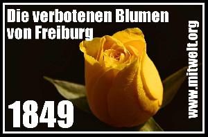 Die verbotenen Blumen von Freiburg