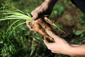 Slow Food Youth Akademie 2026: